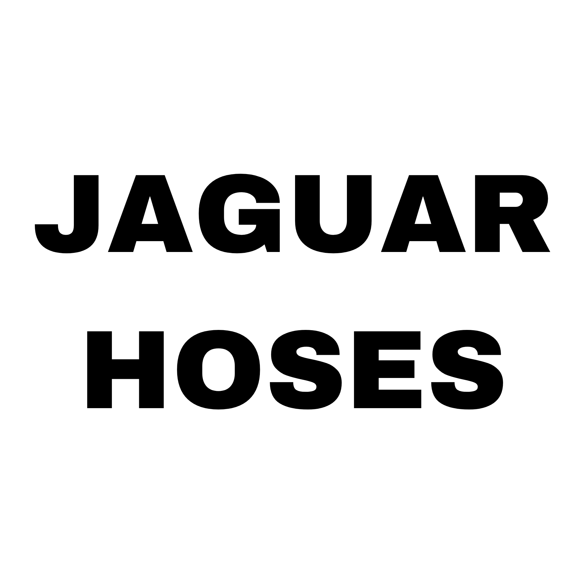 Jaguar Hoses